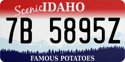 ID license plate 7B5895Z