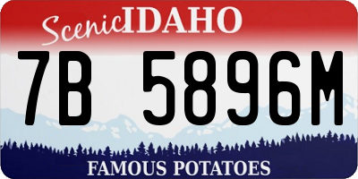 ID license plate 7B5896M