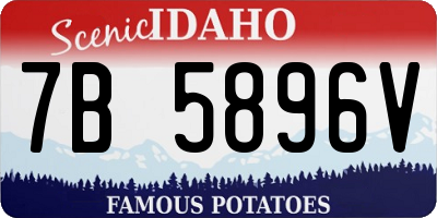 ID license plate 7B5896V