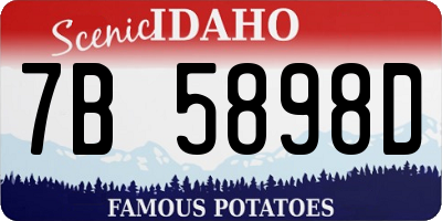 ID license plate 7B5898D
