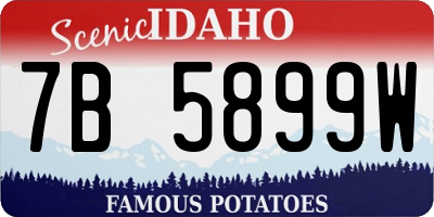 ID license plate 7B5899W