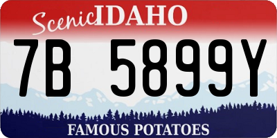 ID license plate 7B5899Y