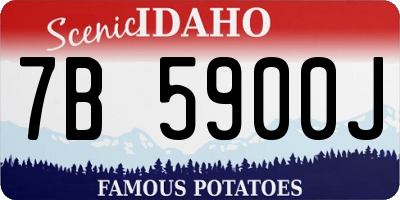 ID license plate 7B5900J