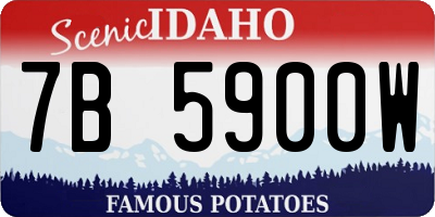 ID license plate 7B5900W