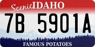 ID license plate 7B5901A
