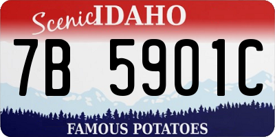 ID license plate 7B5901C