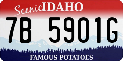 ID license plate 7B5901G