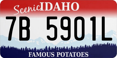 ID license plate 7B5901L