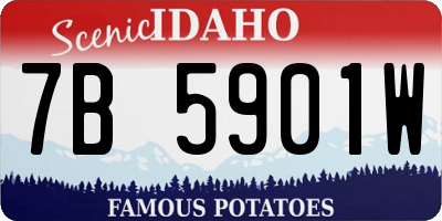 ID license plate 7B5901W
