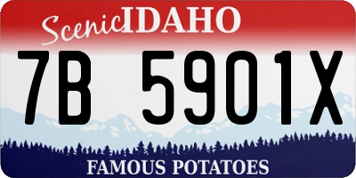 ID license plate 7B5901X