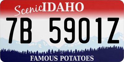 ID license plate 7B5901Z