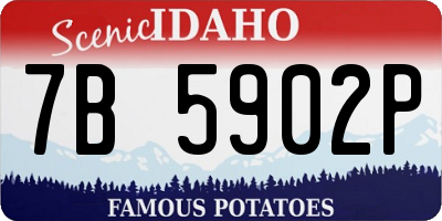 ID license plate 7B5902P