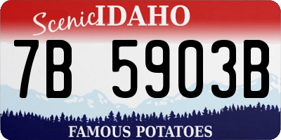 ID license plate 7B5903B