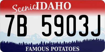 ID license plate 7B5903J