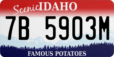 ID license plate 7B5903M