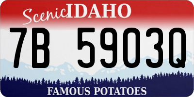 ID license plate 7B5903Q