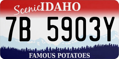 ID license plate 7B5903Y