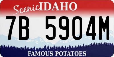 ID license plate 7B5904M