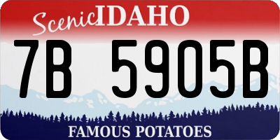 ID license plate 7B5905B