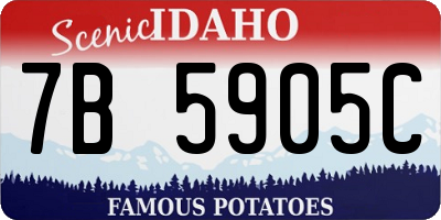 ID license plate 7B5905C