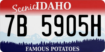 ID license plate 7B5905H