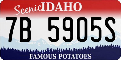 ID license plate 7B5905S