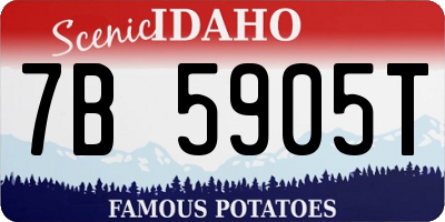 ID license plate 7B5905T