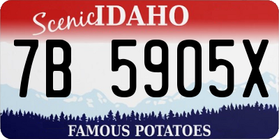 ID license plate 7B5905X