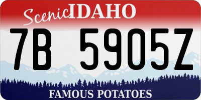ID license plate 7B5905Z