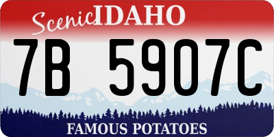 ID license plate 7B5907C