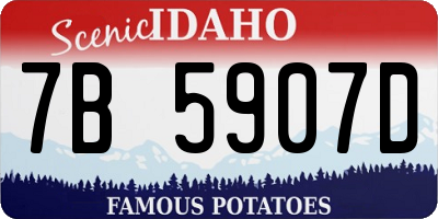 ID license plate 7B5907D