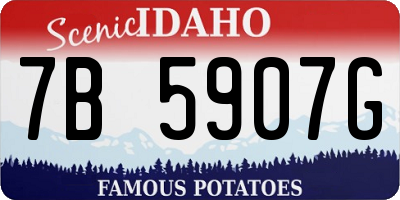 ID license plate 7B5907G