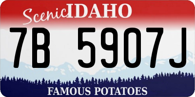 ID license plate 7B5907J