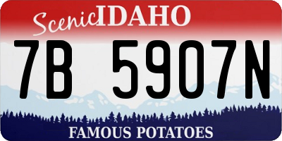 ID license plate 7B5907N