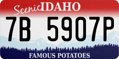 ID license plate 7B5907P