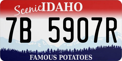 ID license plate 7B5907R