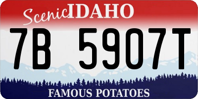 ID license plate 7B5907T