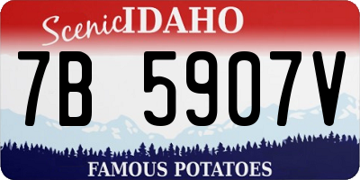 ID license plate 7B5907V