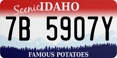 ID license plate 7B5907Y