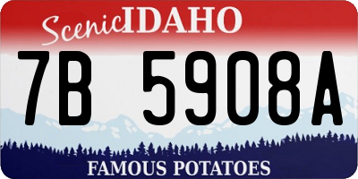 ID license plate 7B5908A