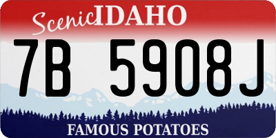 ID license plate 7B5908J