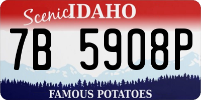 ID license plate 7B5908P