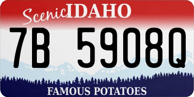 ID license plate 7B5908Q