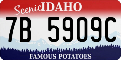ID license plate 7B5909C