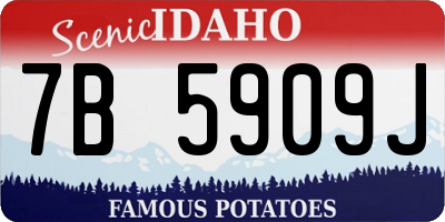 ID license plate 7B5909J