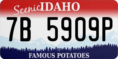 ID license plate 7B5909P