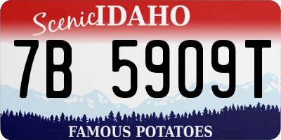 ID license plate 7B5909T