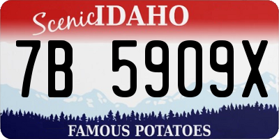 ID license plate 7B5909X