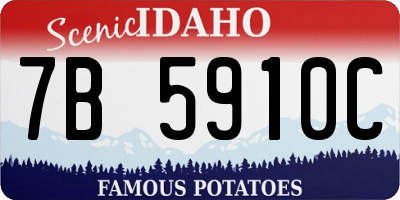 ID license plate 7B5910C