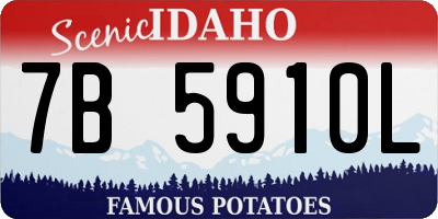 ID license plate 7B5910L